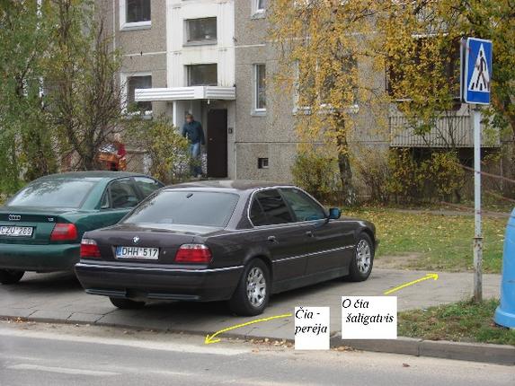 Pavojinga perėja