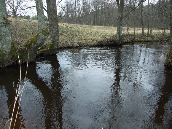 Upė