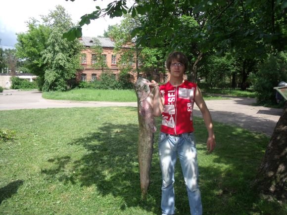 Žūklės laimikis, Manto šamas