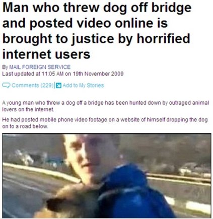 Daily mail puslapis