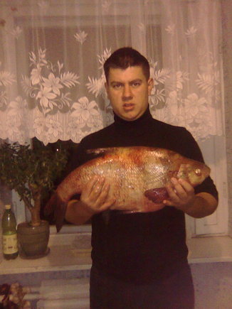 Marko karšis