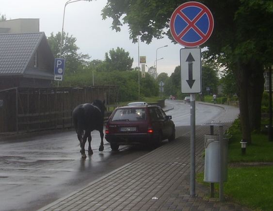 Arklys ir mersedesas Trakuose