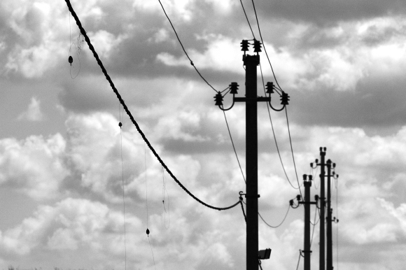 Elektros laidai