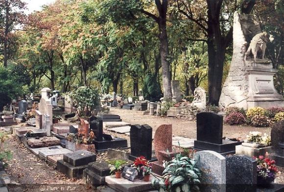 Gyvūnų kapinės Anjere prie Senos