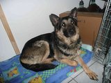 &bdquo;Lesės&ldquo; nuotr./Kalytė Tela