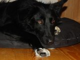 „Lesės“ nuotr./Tora