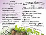 15min.lt/Renginio &bdquo;Lesė grįžta III&ldquo; programa
