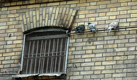 Kalėjimas