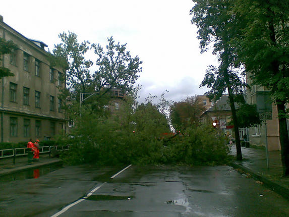 Nuvirtęs medis