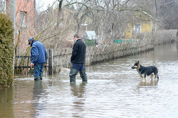 Situacija Panevėžio r.