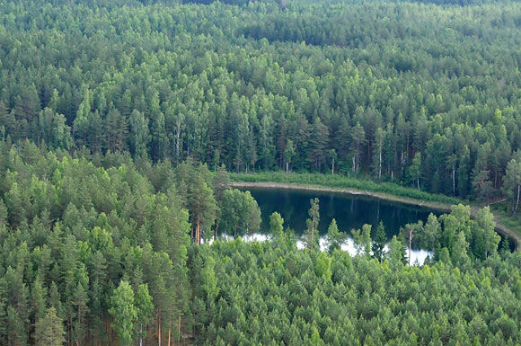 Žymė Gudobelė