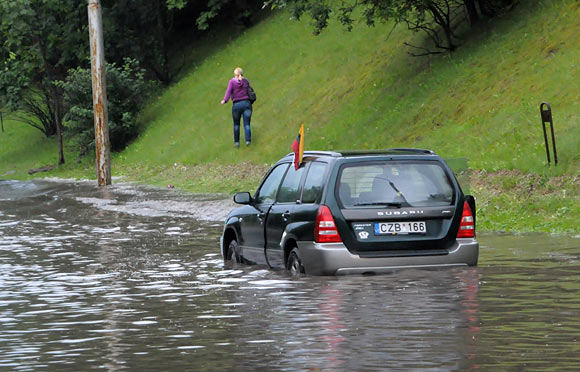 Paveikslėlis
