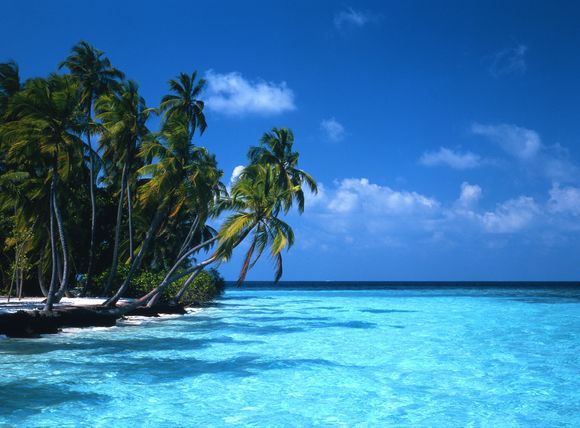 „Scanpix“ nuotr./Maldyvų salos