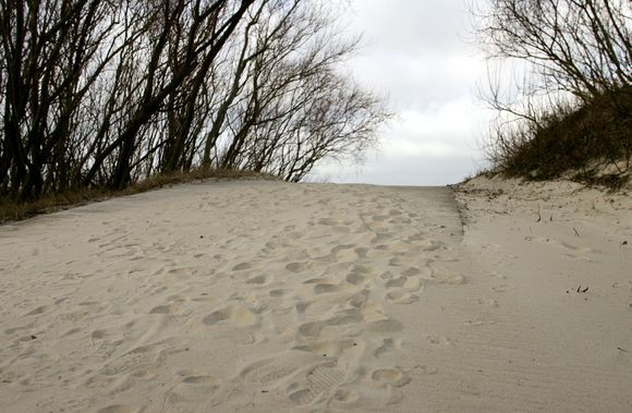 Žymė Kuršių nerijos nacionalinio parko gamtos ekspozicija