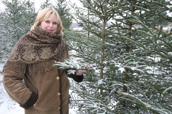 Vilniaus miškų urėdijos medelyno viršininkė R.Konstantinavičienė sakė, kad eglučių pageidaujantys pirkėjai jų gali įsigyti nors ir dabar.