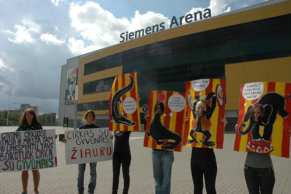 Protesto akcija prieš cirke vaidinančius gyvūnus