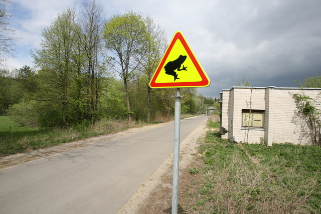 Varlės
