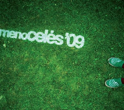 Projektas „Meno celės ‘09“