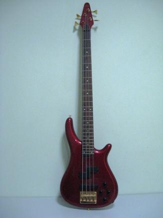 ŽAS nuotr./Grupės ŽAS gitara