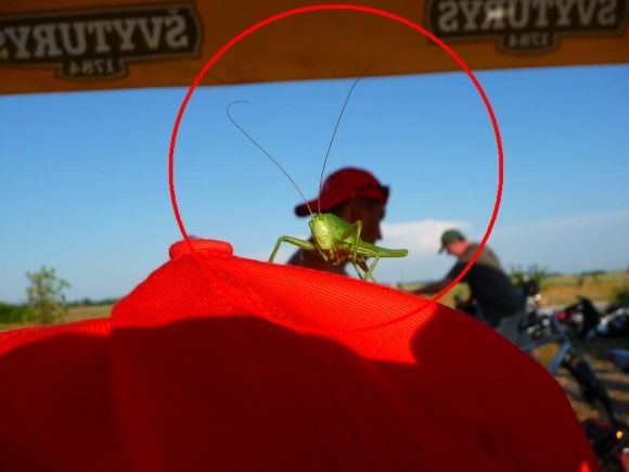 „Omnitel 1000 km lenktynių“ nematoma pusė.