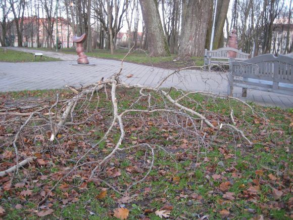 Klaipėdos skulptūrų parkas po vėtros