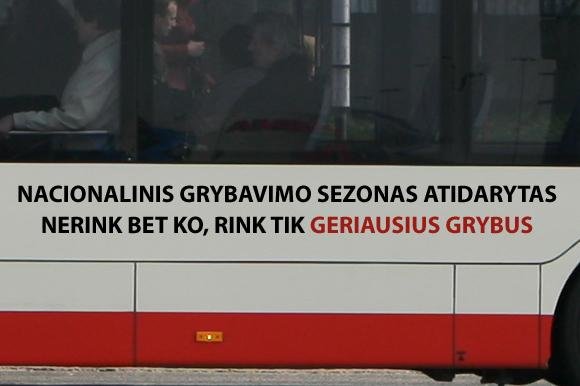 15min.lt skaitytojo Tomo &scaron;ūkis/&bdquo;Grybavimo sezonas atidarytas&ldquo;