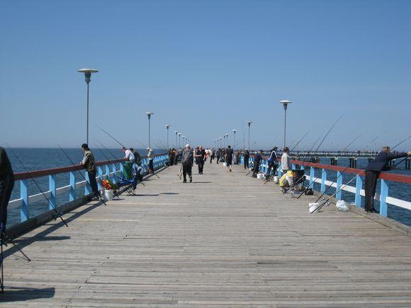 Žymė Palanga