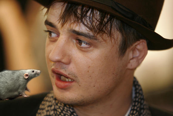 P.Doherty