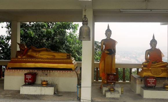 Pataja