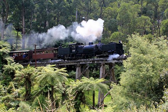Vytauto Ulozo nuotr. /Senovinis garo traukinys „Puffing Billy“