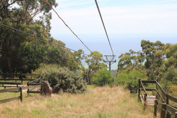Vytauto Ulozo nuotr. /Melburnas, Australija