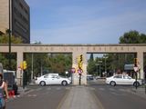 Sandros Butkutės nuotr. /Zaragozos universiteto teritorija, Ispanija