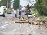 Vilniaus pakraštyje miškavežis išbarstė rąstus