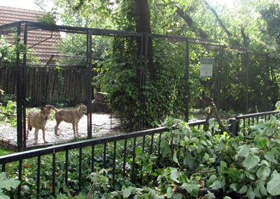Kadras iš zoologijos sodo