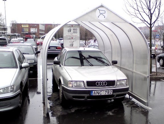 Vienas įspūdingiausių 2008-ųjų fotopolicijos kadrų.