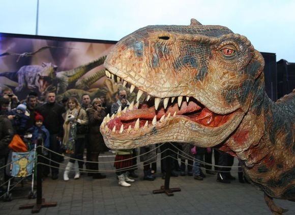 Grėsmingas dinozauras pasirodė prie sostinės „Akropolio“. Natūraliai atrodantis, riaumojantis ir laisvai judantis tiranozauras kvietė į renginį „Pasivaikščiojimas su dinozaurais“, kuris vyks lapkričio 28-29 dienomis Vilniaus „Siemens“ arenoje.