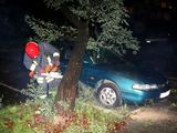Vilniuje ant automobilio nukrito medis