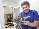 Vietoj gyvūnų žudymo – sterilizacija 