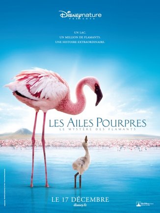 Filmas: Purpurinis sparnas: Flamingų paslaptis