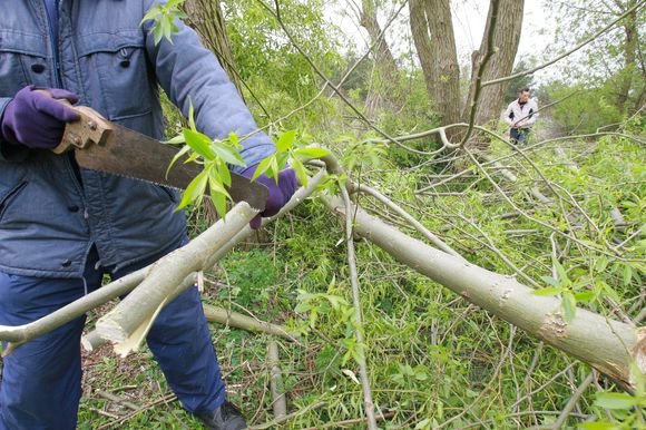  Šiemet Melnragės ir Girulių seniūnijoje itin daug norinčiųjų viešųjų darbų. Paprastai jie talkina valydami gatveles, kopas. 