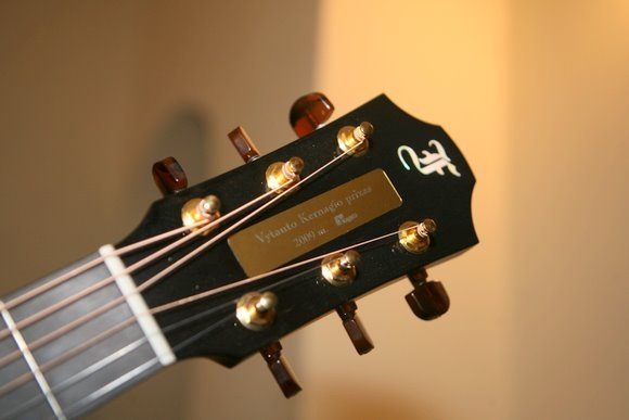 Vytauto Kernagio gitara