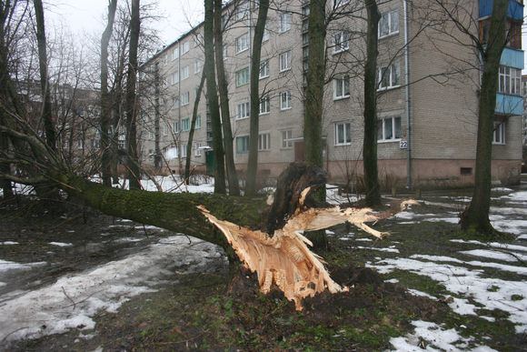 Žymė Vėjas