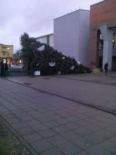15min.lt skaitytojo nuotr./Plungėje nuvirto miesto eglė
