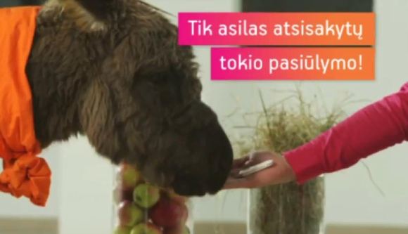 Lietuvos reklamos biuras teigia, kad mobiliojo interneto „Mezon“ reklama, kurioje vartotojai lyginami su asilu, beždžione ir višta, pažeidė Lietuvos reklamos etikos kodeksą. 