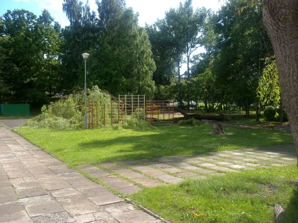 Nukritęs medis darželio teritorijoje galėjo sukelti kraupią nelaimę