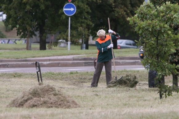 Vilniečiams nereikėtų nerimauti dėl pakelėse paliktos nupjautos žolės – ji surenkama tada, kai visiškai išdžiūva.