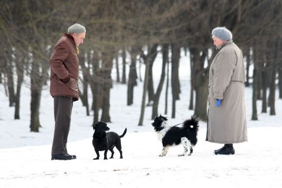 Kai kurie vilniečiai pavyzdingai surenka savo augintinių išmatas parkuose bei gatvėse. Tačiau dauguma šunų augintojų, pasak viešosios tvarkos prižiūrėtojų, dar nepaiso tokios tvarkos.