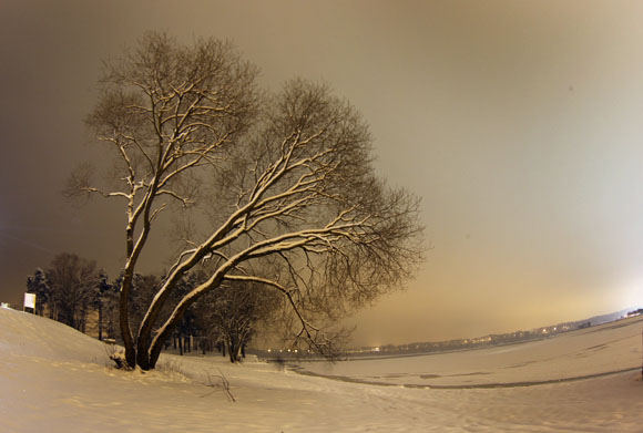 Kauno marių pakrantė