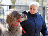 Kauno zoologijos sodo jaunikliai