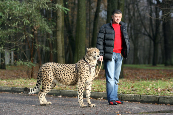 Žymė „Baltijos cirkas“